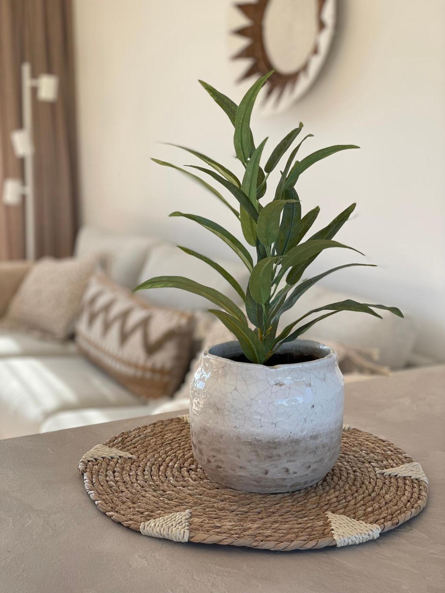 Appartementen Sonnenhof De Koog  Dış mekan fotoğraf